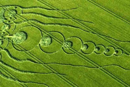 1f12166f90719e0b622aeee3ed7fd9891654851246