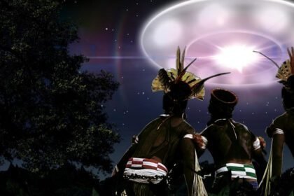 45cb9a7a3bb8c138b03a5c637d3bf24a1657729422