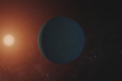 4f2924c6518b96d12982aacde3b290221660317540