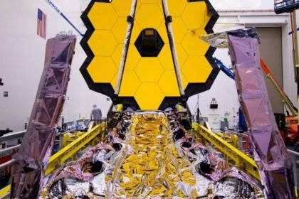 68f385ba199e358a39fc499ee7d288131657729431