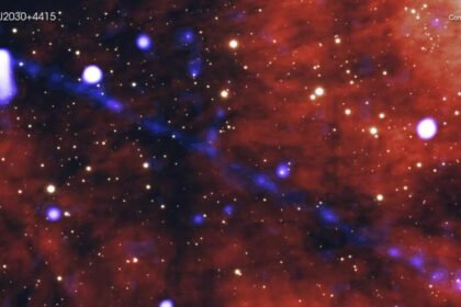 6e5475722f1fb1efd06782465a8b8d651647954355