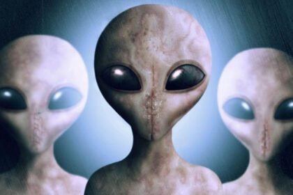 857676acd421ea06c5ac4fae3abec7181668432721