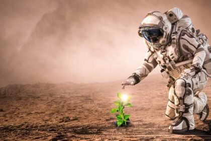 9cbc4e97f20f5dcfd3c94bb2c4a020fc1665691174