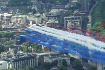 b27f8b39717e928bf2b7dfc882fabf1d1655239591