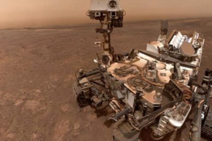 bee9533fde8b7f6851efa1d99f071ef01657025209