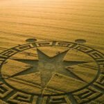 d42bbbd0303e55e4f77c52981326a2e61654851125