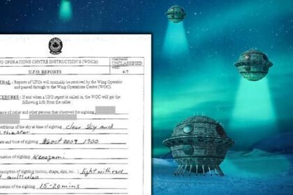 d54a603d767930bd77e45bd323cb87821646653208