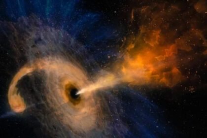 e68620a9ae1de1204aa5055b1b913f621666614503