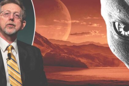 ec7ae4b22e5d34ec2105b7c9d321e72b1654851161