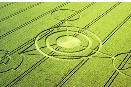 f9d136c83281bf4c65457ccbee8138e31647699699