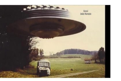 3c8039445f9949e5e3de0a0f7508388f1604698557