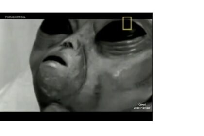 41e092521d2a72c2595f2e6cf590a5071544980951