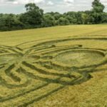 4a0edd5cc17e654a28492655af0ad126 1561397290