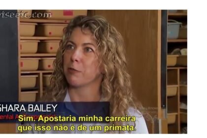 78479d00f62058b33866e9d6748956631533556116