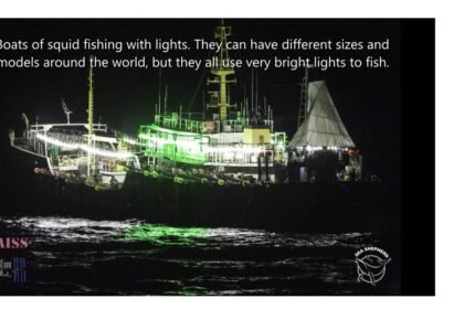 86ec496bf12ba5994dcae1eabbf11e9b1605958333