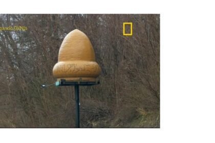 95265af37d55717911d1ad0a9f91c5f91541935868