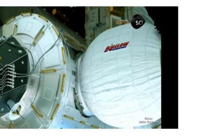 a3445dde0703fcd25f83617c77aee6c51573338439