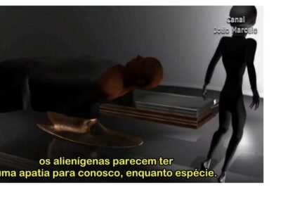 ae5d13274e97f95090d614111a1d20641550661699