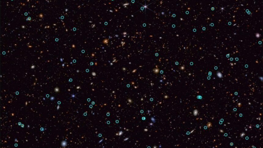 estrela