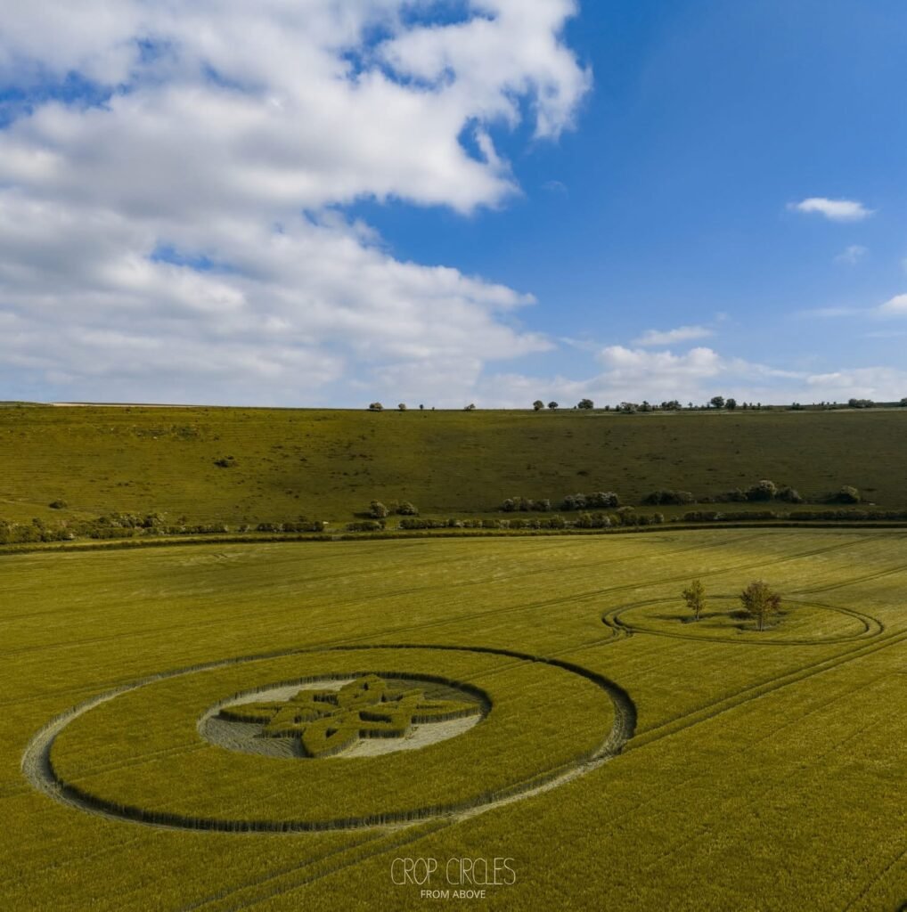 WhatsApp Image 2025 05 16 at 09.49.39