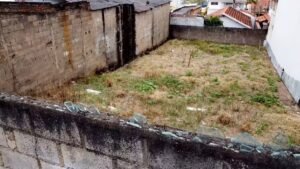 ET de Varginha: terreno da suposta aparição do alien 'mais famoso do Brasil' vira ponto turístico 30 anos depois 3 terrenodoet jardimandere