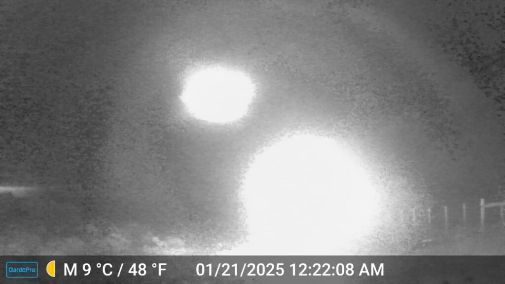 4026f5a7 215e 43f1 b7d6 b390e4b72d7d