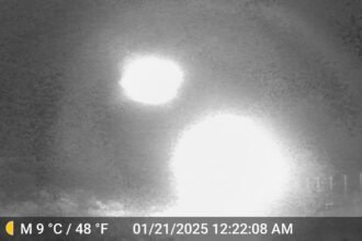 4026f5a7 215e 43f1 b7d6 b390e4b72d7d