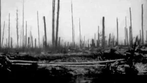Relembrando Tunguska: Uma explosão misteriosa que intriga a CIA mais de um século depois 5 video overview Tunguska event
