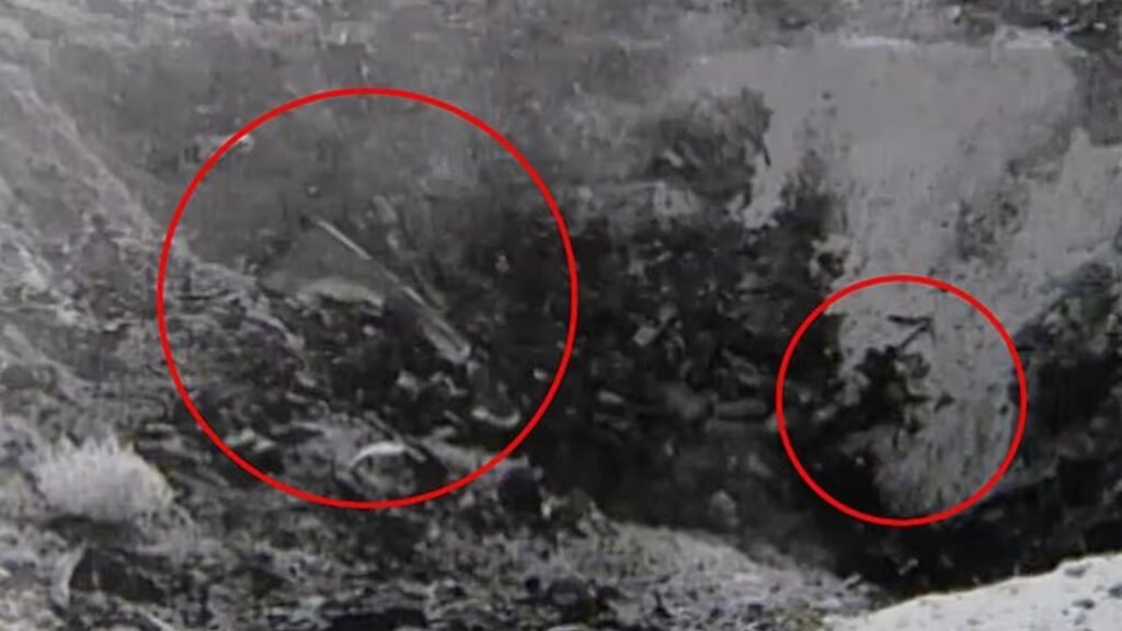 7a94a40e d1df 4af4 aa95 3ff1f2a906c6