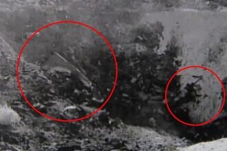 7a94a40e d1df 4af4 aa95 3ff1f2a906c6