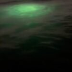 Rastreador de OVNIs mostra milhares de objetos subaquáticos assustadores à espreita ao longo da costa dos EUA 4 20ede9df 095a 406d b5fc 092e1a39a0c1