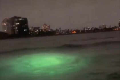 20ede9df 095a 406d b5fc 092e1a39a0c1