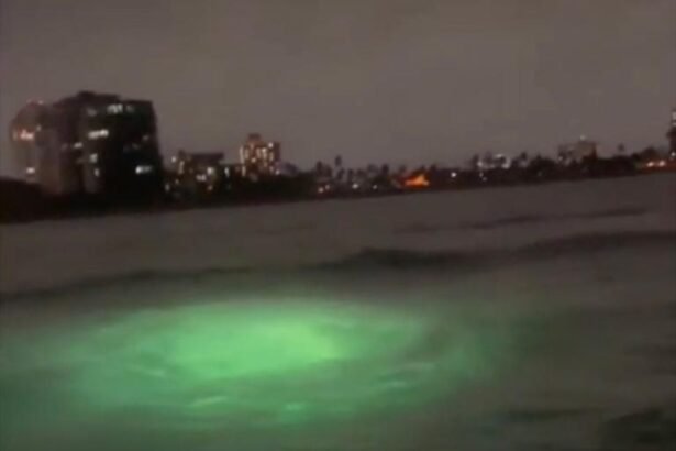 20ede9df 095a 406d b5fc 092e1a39a0c1