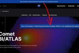 WhatsApp Image 2025 10 03 at 09.29.22