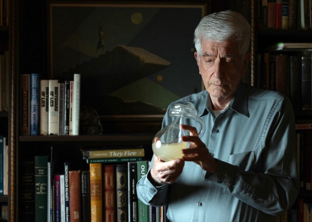 470323837 1598546327449644 789940315115599818 n