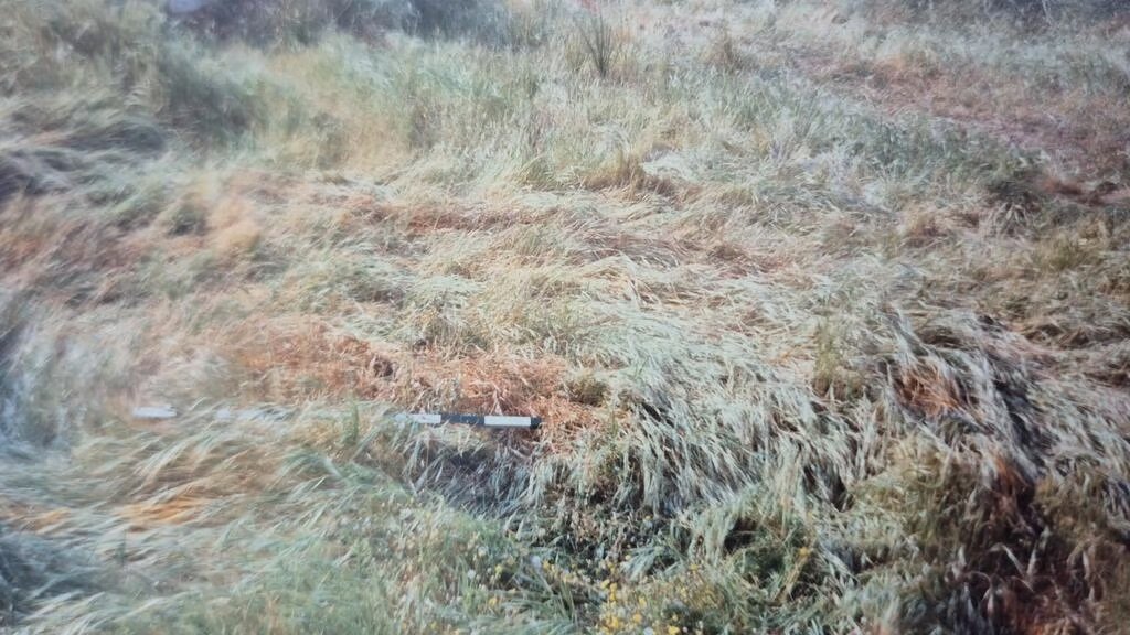 Cidade de Israel coleciona incríveis casos de UFOs 2 SkJxw8NZzK1l 308 476 2466 1387 0 x large