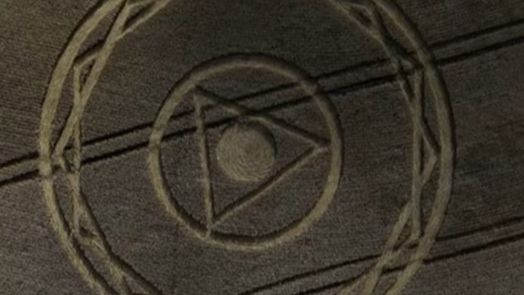 WhatsApp Image 2025 11 03 at 10.03.40 1