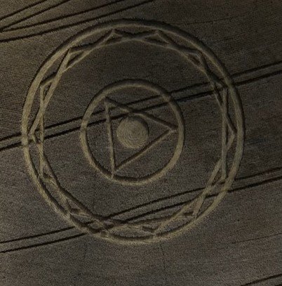 Surge novo agroglifo em Santa Catarina, mas proprietário prefere fazer a colheita 3 WhatsApp Image 2025 11 03 at 10.03.40