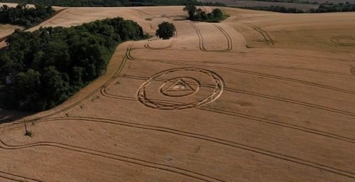 Surge novo agroglifo em Santa Catarina, mas proprietário prefere fazer a colheita 2 agroglifo outubro 2025