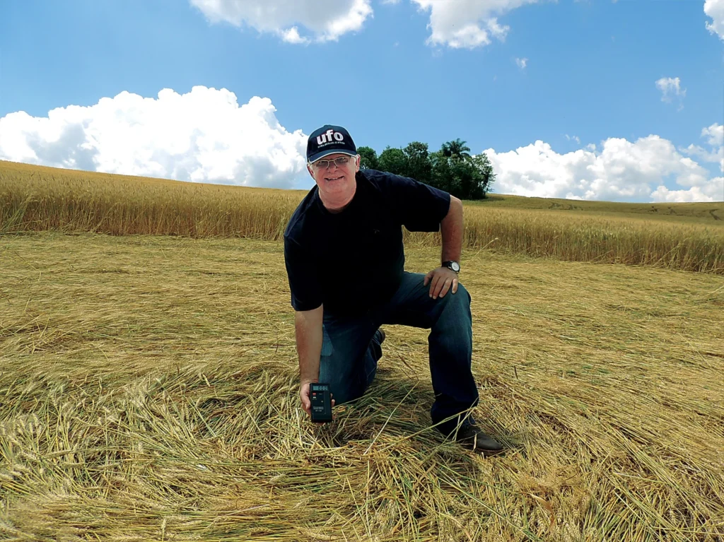 Surge novo agroglifo em Santa Catarina, mas proprietário prefere fazer a colheita 4 gevaerd 3 mxBXyLwwn4U03vWe