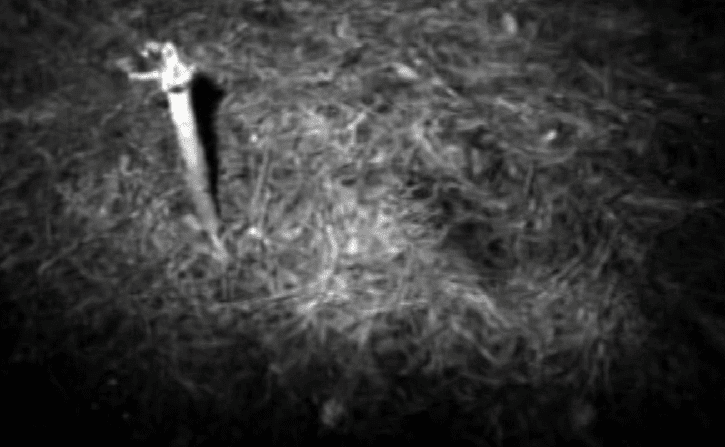 Um UFO de Natal: o caso Rendlesham 5 Foto Original 02