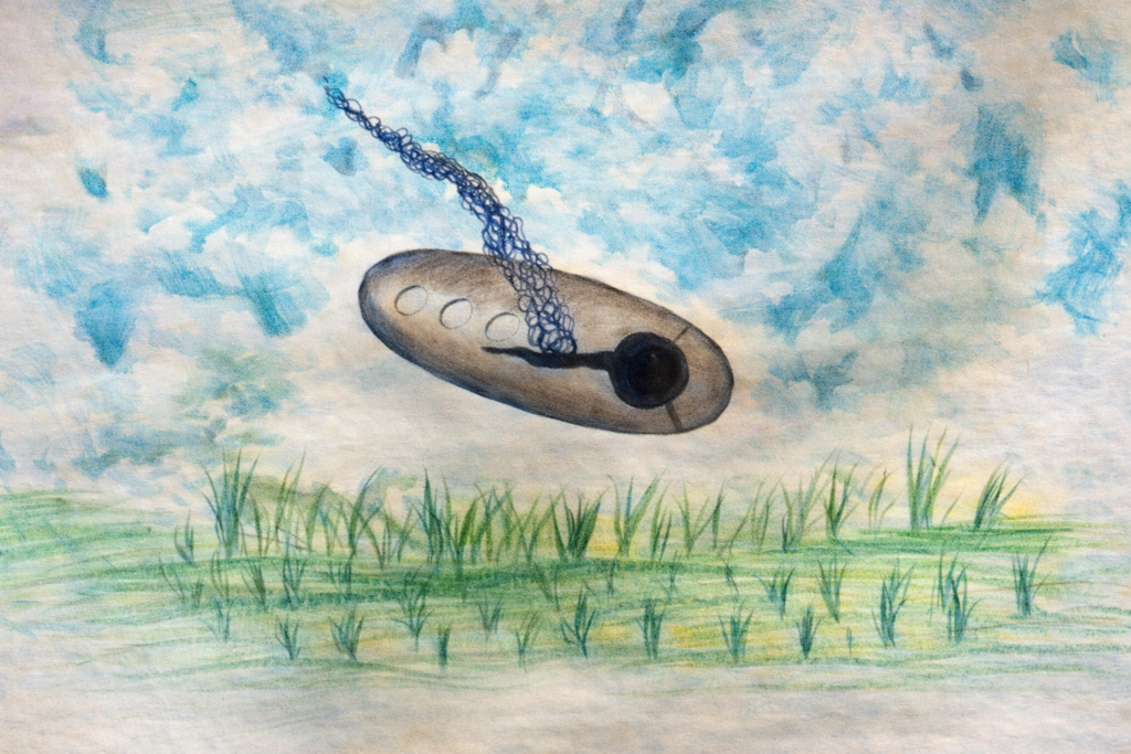 ChatGPT Image 7 de jan. de 2026 09 17 55