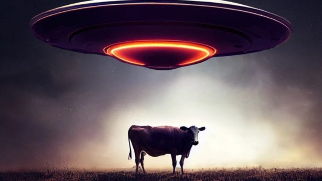 autoridades, mutilação, condado