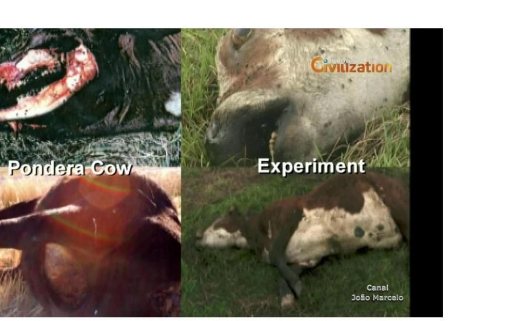 13f672f28bc8641e178d0f7701d789551558195325