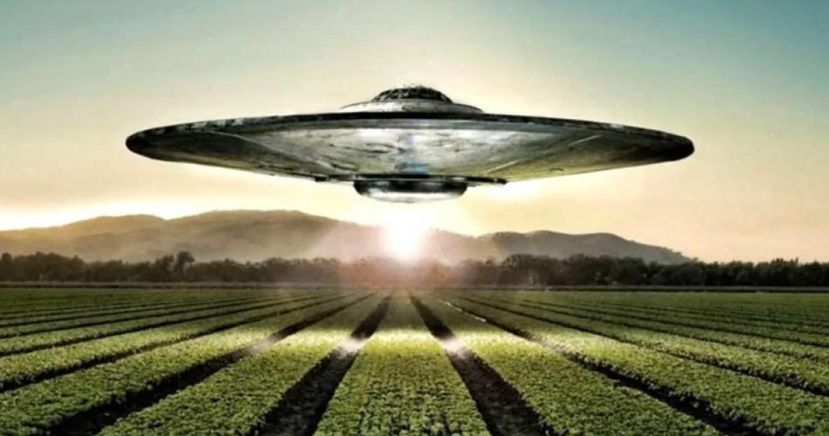 1774194030bfa296dbd5100be9be272e1654851171