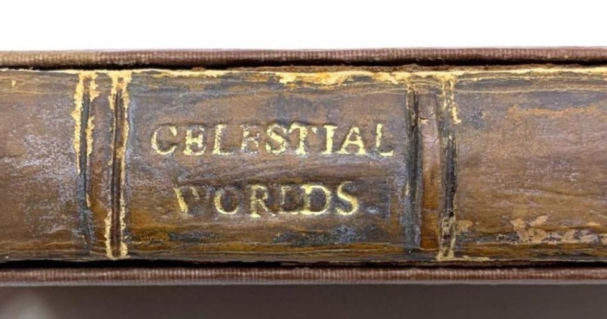 19d492da9ddbaead27aeb0f8a778c8521654851233