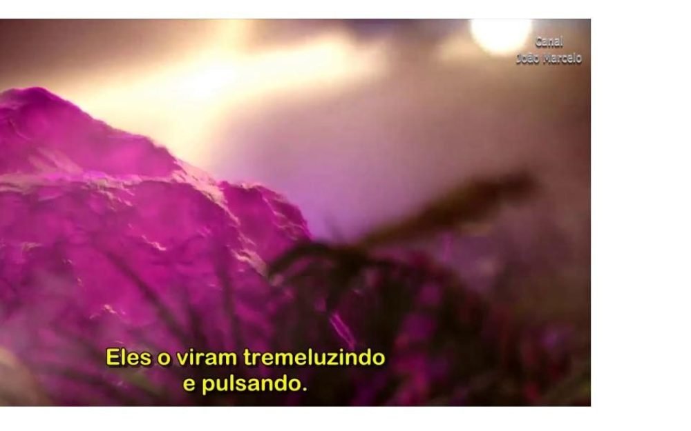 1d566739e8b03ad8f119cda428f552ce1554317838