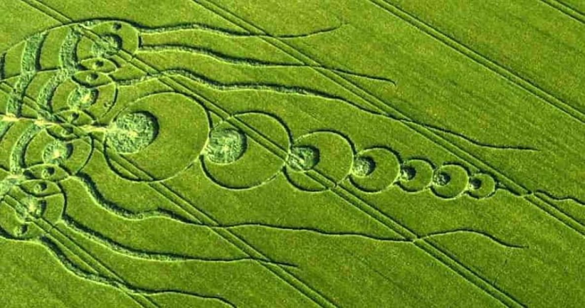 1f12166f90719e0b622aeee3ed7fd9891654851246