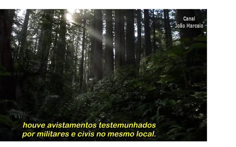 31b249ae42a0672d60563f4b4db329e11559427277