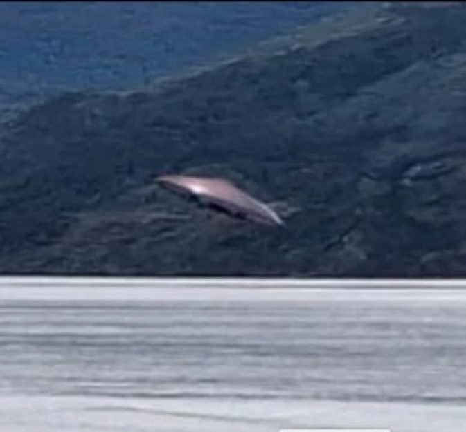 3c37a8ce-07f8-4353-9517-7e38aa6a8775